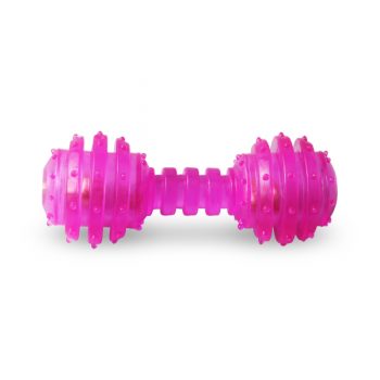 Barbell-shaped Dog Chewing Toy