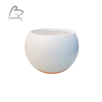 Tumbler Pet Funny Bowl