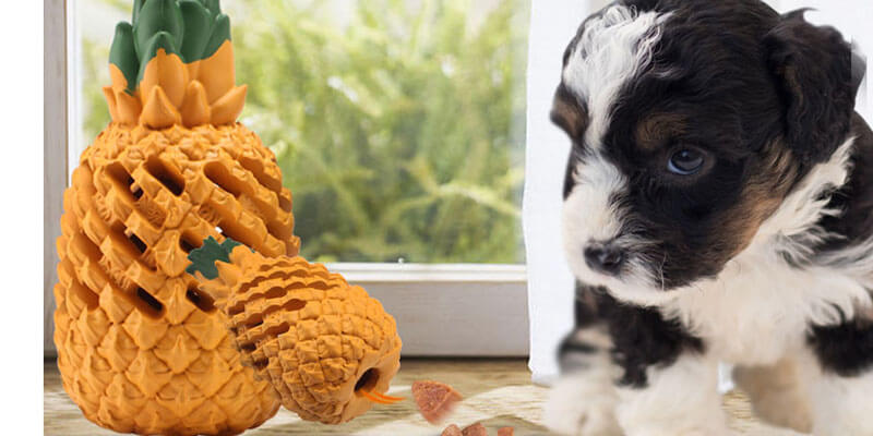 Pineapple-shaped-dog-toys-with-treats