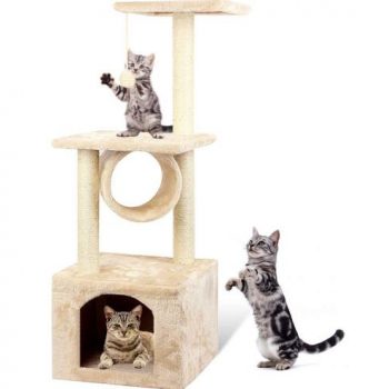 cat condo for large cats