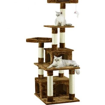 cat climbing tower