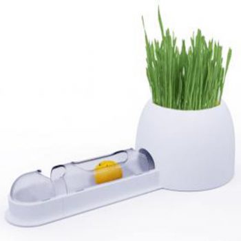 grass tray for cats