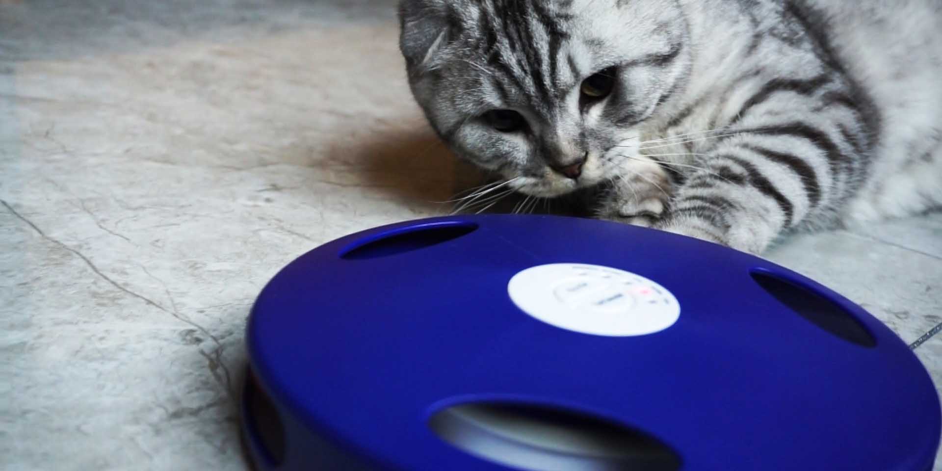 interactive toys for high energy cats