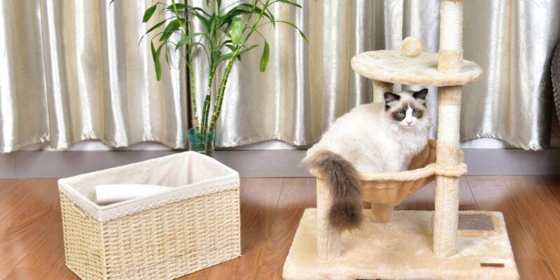cat tree tower
