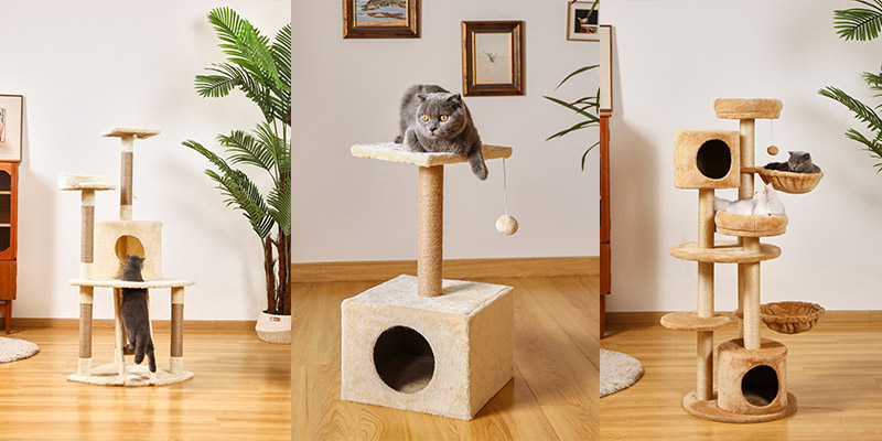 What Type Of Cat Tree Condo Is Better For Older Cats